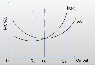 The Short Run Cost-Output Relationship 