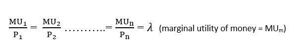 Marginal utility of money